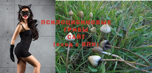 ешки Михайловка