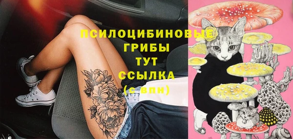 MDMA Михайловск