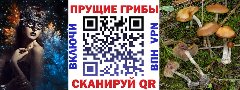 Галлюциногенные грибы прущие грибы Череповец