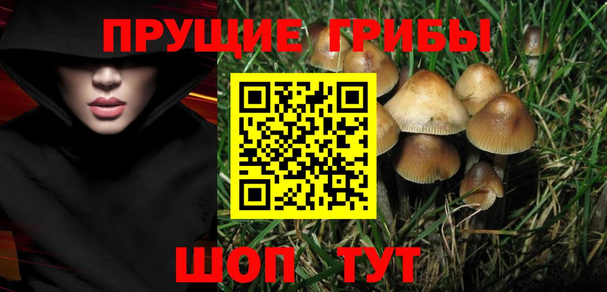 Галлюциногенные грибы мухоморы  Вход с VPN  Череповец 